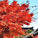 산성 공중화장실 이미지