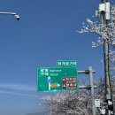 원탑고수부지 네이버블로그