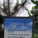 그린골프교실 이미지