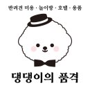 댕댕이의 품격 이미지