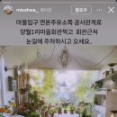 연본주유소