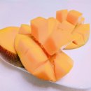 강정올레농수산