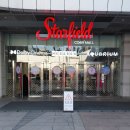 반지왕2 | 반지의 제왕: 왕의 귀환 관람 후기 (코엑스 메박 돌비시네마관)