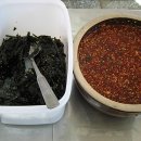 중앙파출소 Daum카페