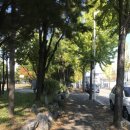 경산제일약국 이미지