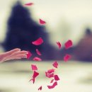 봄의기운 이미지