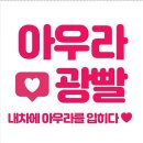 세차인(광