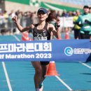 여수시청 이미지