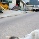 뾰족산 펜션 이미지