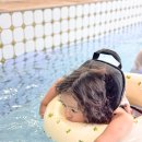 쥬라기풀빌라 이미지