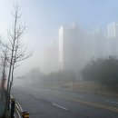 둔포자동차병원 네이버블로그