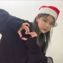 젤루조아