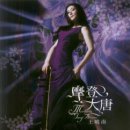 天地一雙飛(An unfettered flying duo) - 王曉南연주 이미지