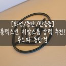 [화성/동탄/반송] 건성피부 반짝 광채를 위한 플렉스킨 히알스톰 솔직 후기 : 루스파 동탄점