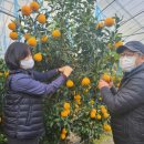 기동반-28 이미지