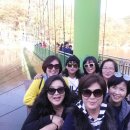 1박2일 이미지