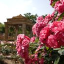 왕관식당 이미지