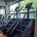 스타덤핏 이미지