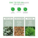 그기헤어