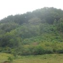 고성리-18 이미지