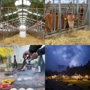 형우농장 이미지