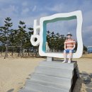 멍 때리는 전망대 이미지