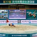 보령종합체육관 이미지