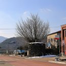 덕치우체국 이미지