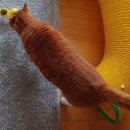 파인드스토리 이미지