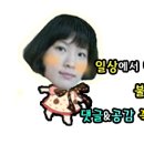 스카이스포렉스