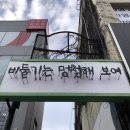 비둘기는멍청해보여