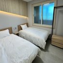 타니스테이 이미지