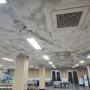 (주)비텍스 네이버블로그