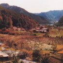 신동표