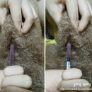 온누리 동물약국 이미지