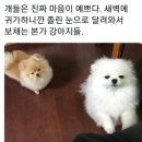 99 네이버블로그