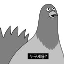 까사데 카페 이미지