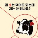 [홍보] 1389번 귀 인식표를 단 암소 - 도서출판 아름다운 사람들 이미지