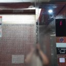 파라다이스텔 이미지