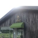 안드레아목장 | [제주 성이시돌 목장]푸른 초원 위 말들을 볼 수 있는 일석삼조 성이시돌 목장