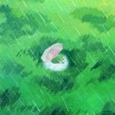 floryy - 여름비(Summer rain) 이미지