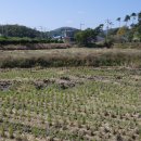 대운산리 이미지