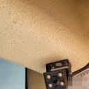 푸른솔관광 이미지