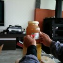 양심농장 이미지