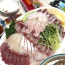 🌟 [마포농수산물] 방어 제철 12월에 방어회 먹기 후기 / 주차