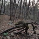 오리나무약수터 이미지