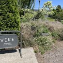 쇠소깍오메기식당2 이미지