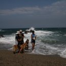 나곡해수욕장 이미지