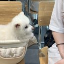맨인더키친딜리버리수목원점