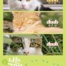 나만없어고양이 이미지